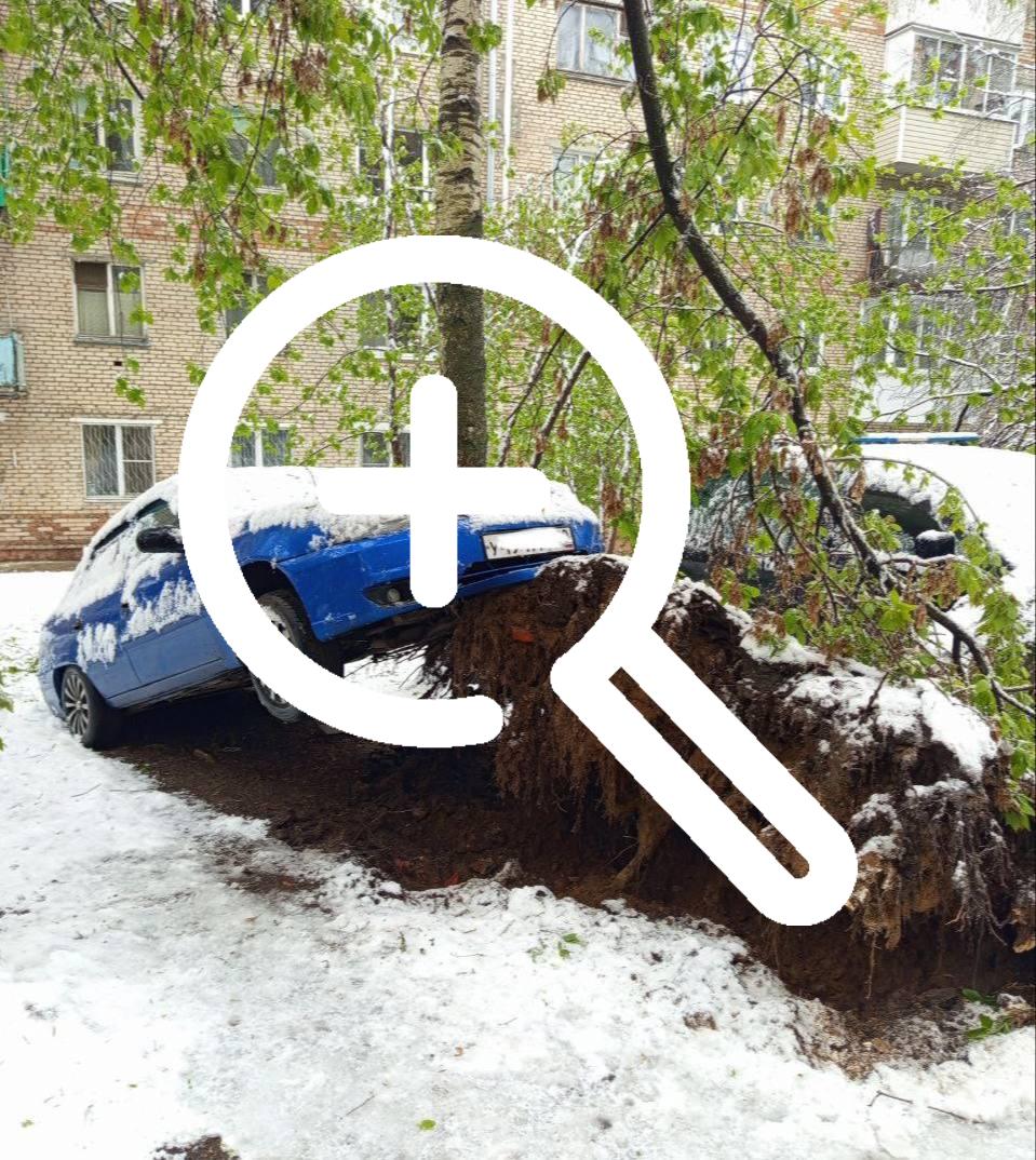 Около 200 автомобилей повреждены в результате вчерашней непогоды в Подмосковье, повалены 1,5 тыс. деревьев