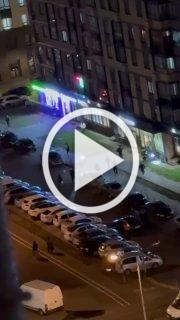 Мигранты устроили массовую драку на ножах в Люберцах