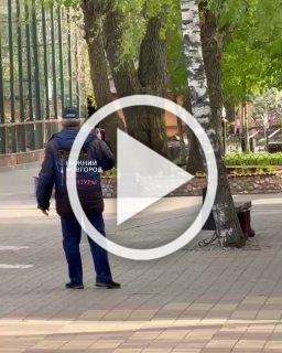 Пёсик захотел поиграть: в Нижнем Новгороде эвакуировали зоопарк из-за сбежавшего волка