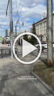 Собаки нарушают правила дорожного движения. 🇷🇺 Источник:...