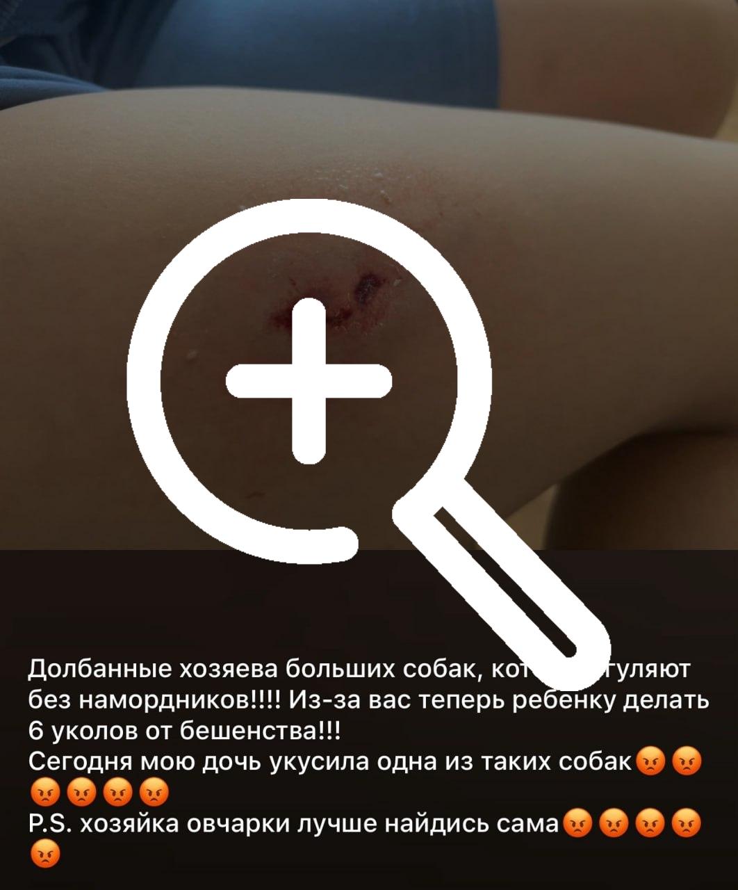 Жители Пашино активно жалуются на собак