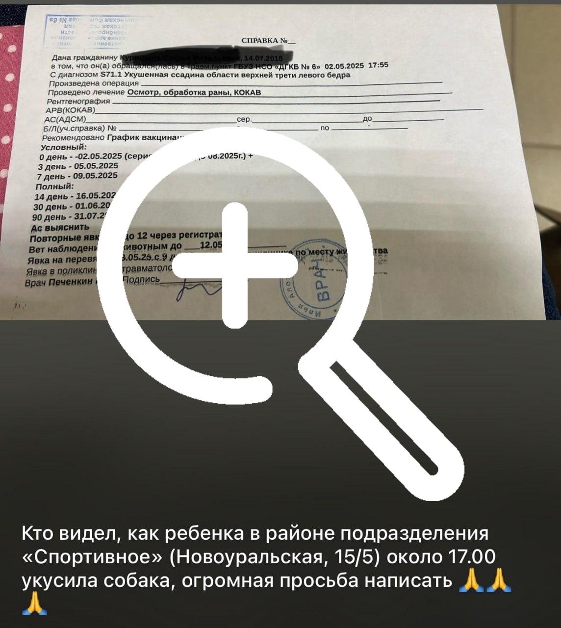 Жители Пашино активно жалуются на собак