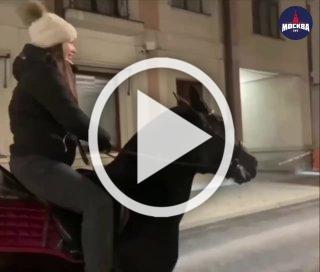 Запретить коммерческое использование лошадей на улицах Москвы предложила директор Московского зоопарка