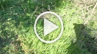 ВСУшники попали в засаду — двое ликвидированы