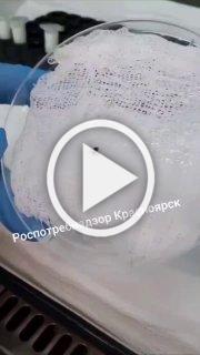 Роспотребнадзор представил традиционную сводку по клещам...