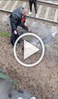 В Буче девушку сильно ударило током на крыше электрички.