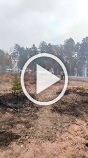 В Забайкальском крае загорелся лес, огонь подобрался к местному аэропорту — его временно закрыли.