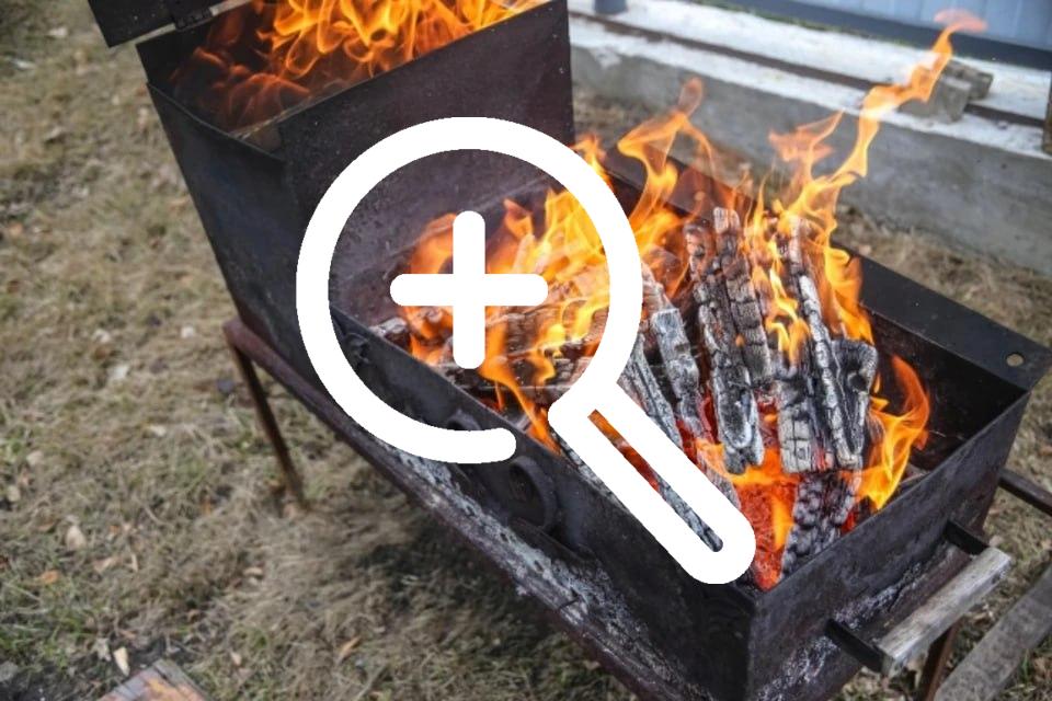 В Новосибирской области МЧС оштрафовало 249 человек за...