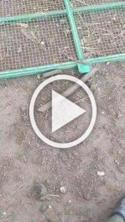 Видео последствий смерча в посёлке Тобольский...