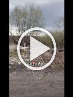 В Анжеро-Судженске возле кладбища 
