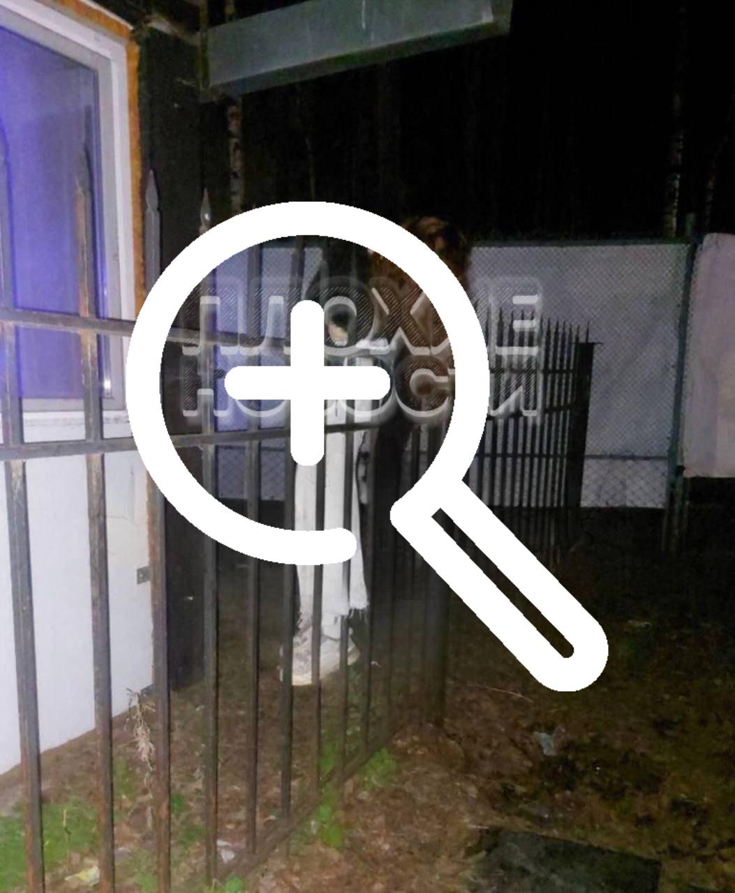 В Пермском крае пьяная девушка пыталась сбежать от кавказцев через забор и напоролась на острые пики