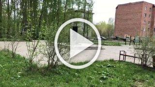 Вырванные таблички с именами ветеранов: назаровцы сетуют...