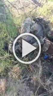 Курское направление. 🇷🇺 Подпишись - Хроники СВО