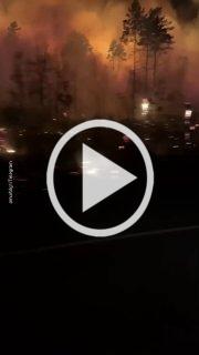 Огненный коридор в Амурской области — там мощный пожар подобрался вплотную к трассе из Благовещенска в Свободный.
