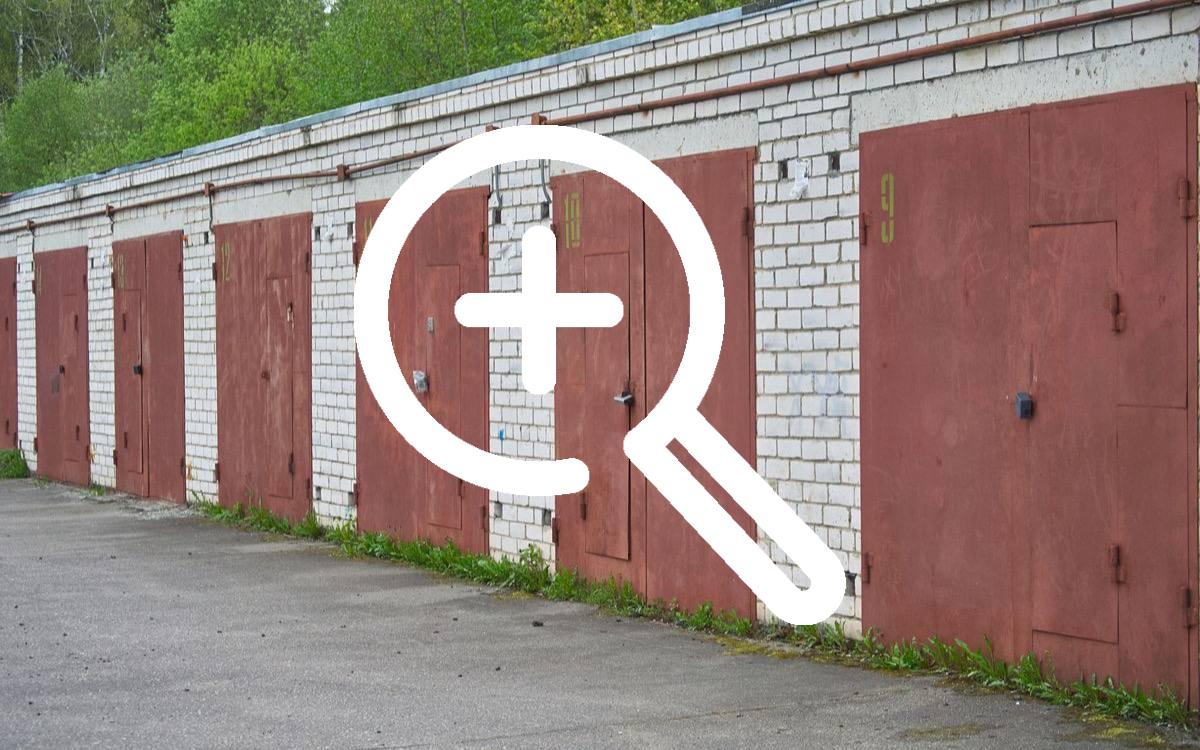 Перед судом предстанет красноярец, обвиняемый в жестоком обращении с животными