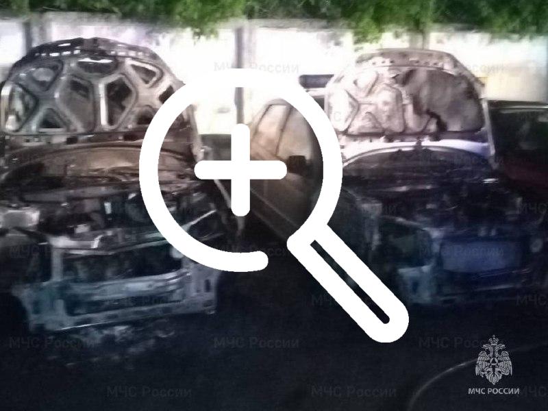 В Калуге молодая мать сожгла 5 машин Росгвардии ради того, чтобы мошенники вернули ей деньги