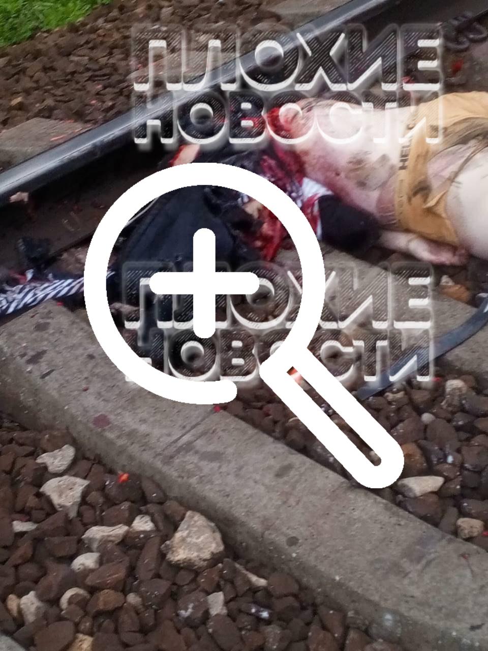 В Подмосковье зацепер упал во время движения поезда и ему...