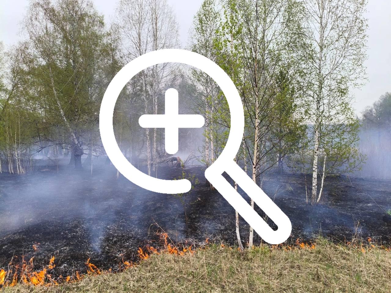 В Рыбинском районе загорелся лес рядом с деревней...
