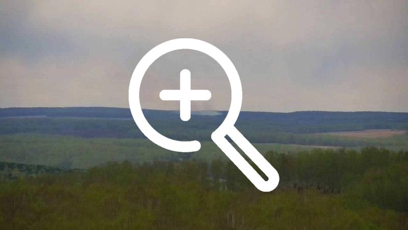 В Рыбинском районе загорелся лес рядом с деревней...