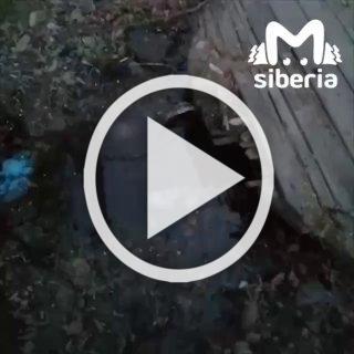Вода топит дом в Киселёвске: жители винят водоканал