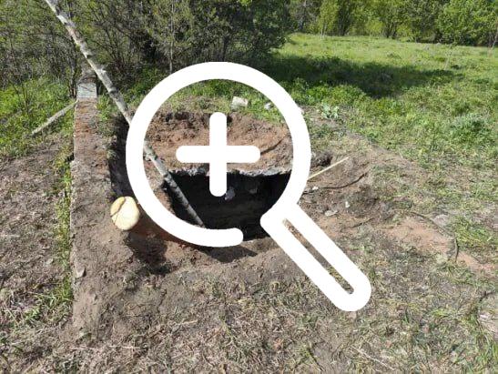 В селе Толмачево Брянского района 13 мая спасатели пришли на помощь животному