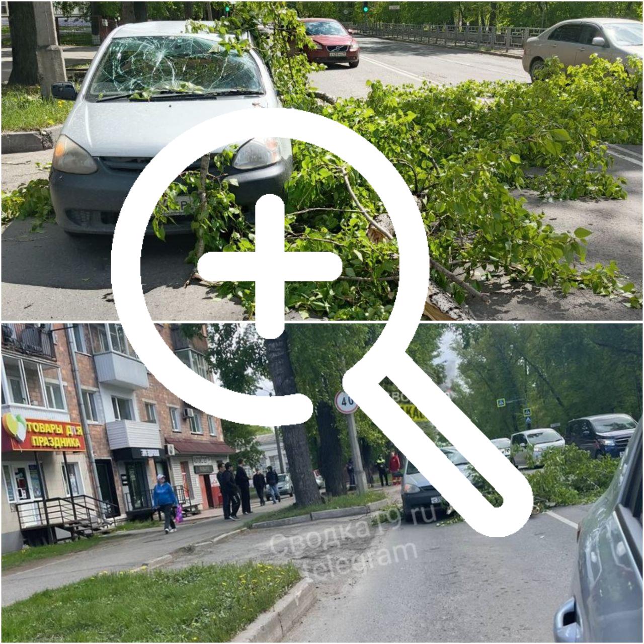 Ветка дерева упала на автомобиль ул. Ивана Ярыгина -...