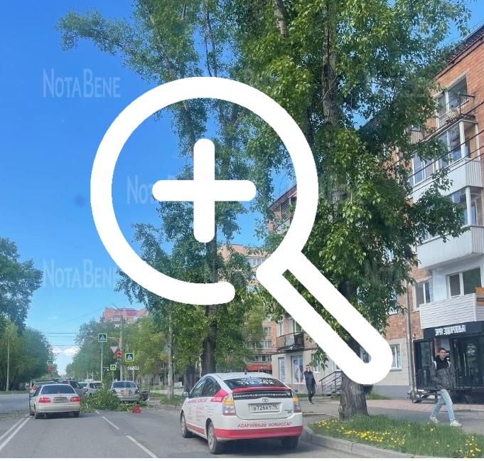 Ветка дерева упала на автомобиль ул. Ивана Ярыгина -...