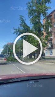 Ветка дерева упала на автомобиль ул. Ивана Ярыгина -...