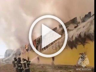 «АхЯйца» горят на птицефабрике в Астраханской области — у одного из крупнейших производителей в регионе погибли 166 тыс кур
