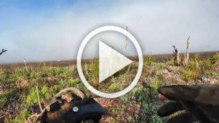 ❗️На видео запечатлена картина после ожесточённых...