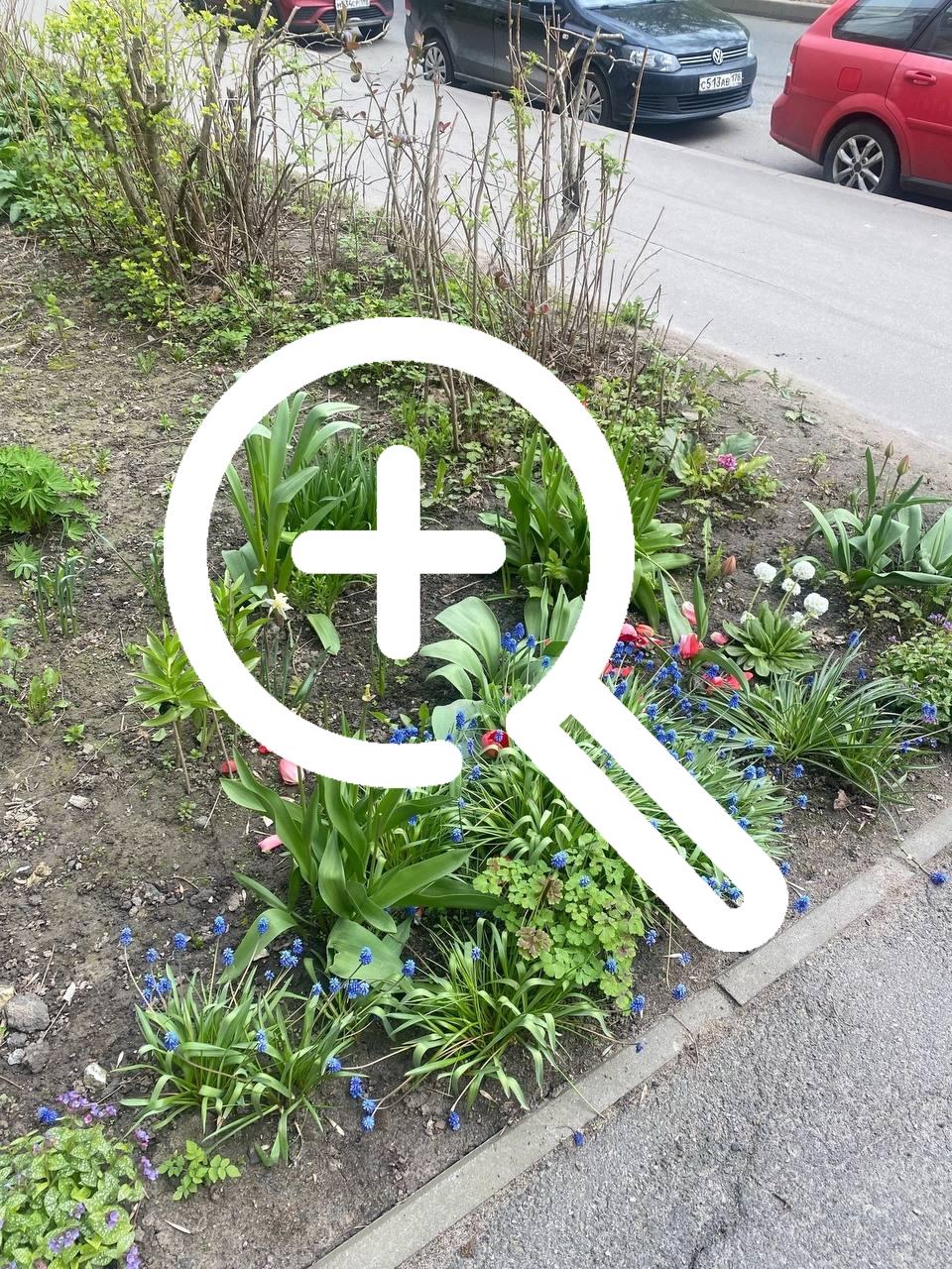 В Кировском районе женщина целенаправленно подошла к...