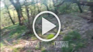 ❗️Сумское направление, проверка обороны противника на...
