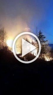 В Уярском районе вспыхнул лесной пожар — в пойме реки у...