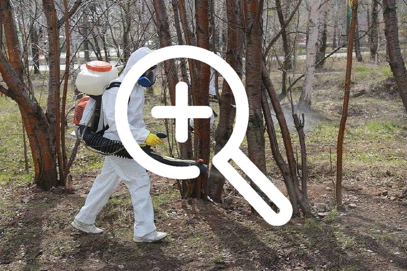 В Канске и Канском районе провели акарицидную обработку...