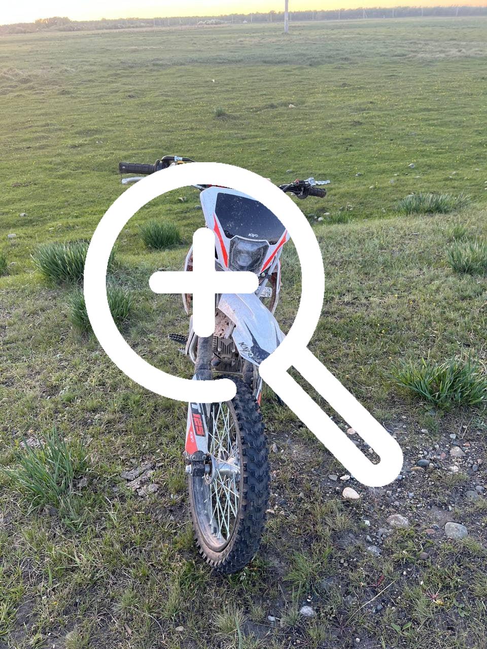 В Алтайском районе наезд на животное стал причиной ДТП, в котором пострадали двое несовершеннолетних