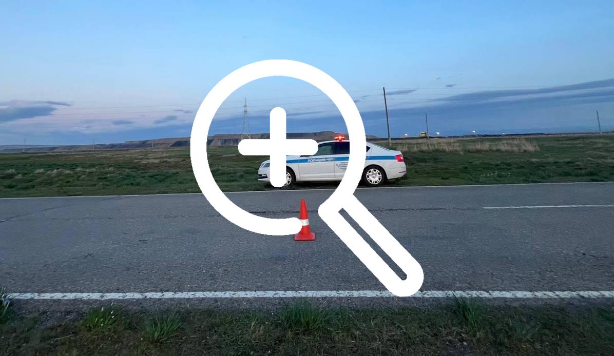 В Алтайском районе наезд на животное стал причиной ДТП, в котором пострадали двое несовершеннолетних