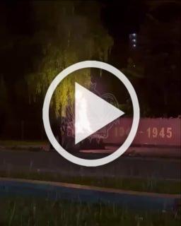 В Воронеже безумец сжег цветы на мемориале и потушил Вечный огонь