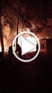 Ночью в Большой Ижоре в Ленинградской области загорелся...