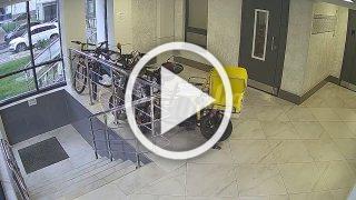 «Дэвид Копперфильд» из Воронежа показал фокус с исчезновением велосипеда, теперь фокусы с розыском показывает полиция