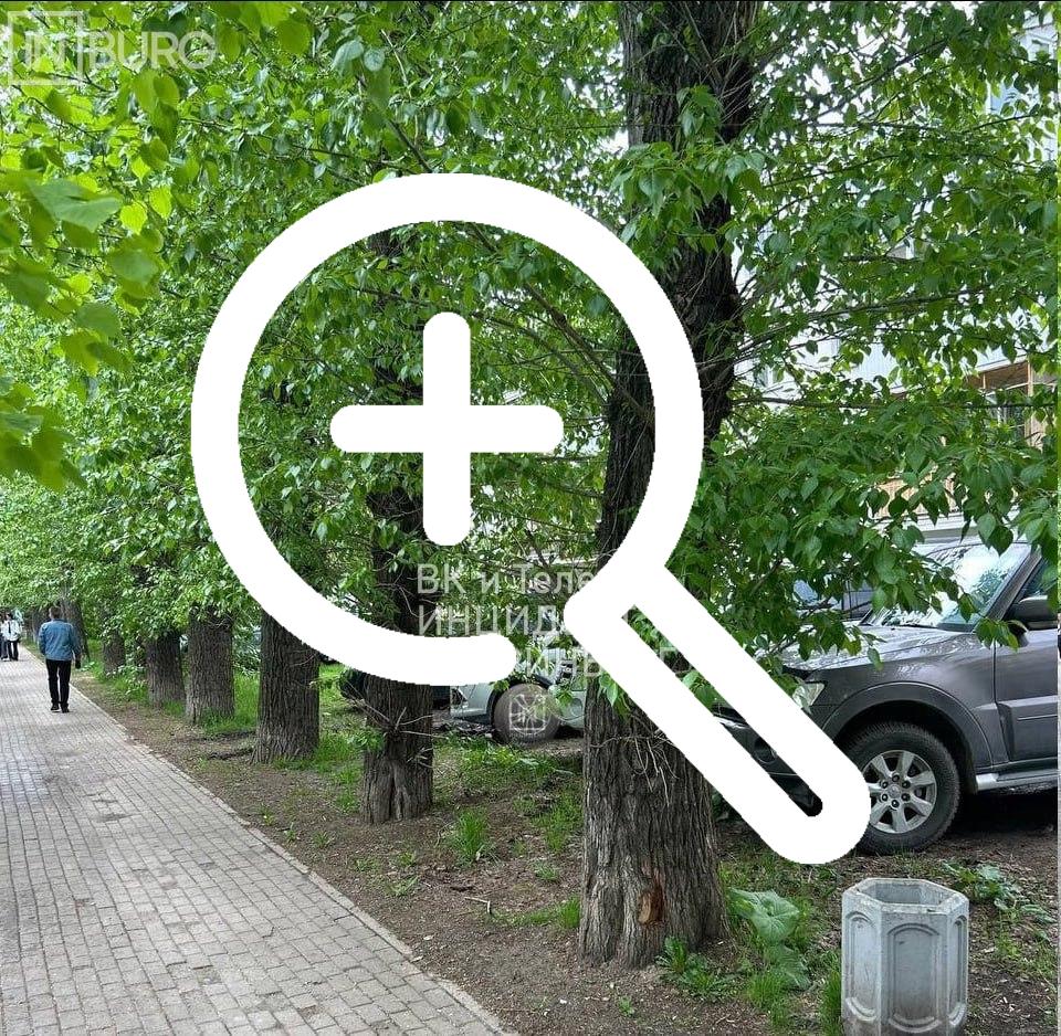 Горожане пожаловались на водителей, которые паркуют...