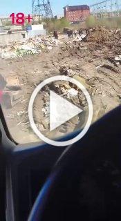 В Екатеринбурге произошла криминальная разборка на мусорном рынке с травматическим оружием