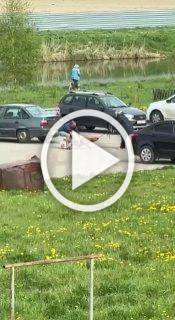 В Костроме стаффорд без намордника подрал собаку и загрыз кота — хозяйка проигнорировала просьбы прохожих