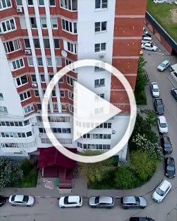 Жёсткие кадры: живодёр вытащил кота за шкирку через окно и ударил его о фасад дома