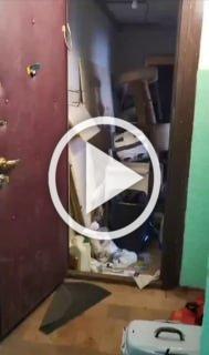 Кошачьи трупы извлекли из квартиры в Пскове: 50 котов...