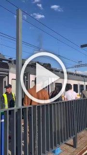 В Подмосковье зацепер сгорел заживо, задев токоприемник на крыше электрички