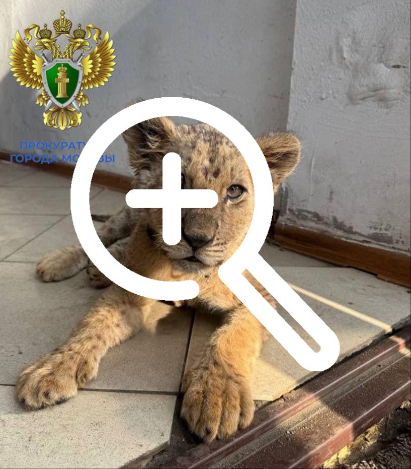 Стражи порядка выявили факт незаконного содержания 3-х...