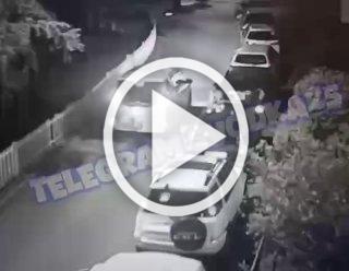 Во Владивостоке водитель чуть не убил девушку с собакой