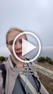 В Португалии предложили работу мечты для интровертов —...