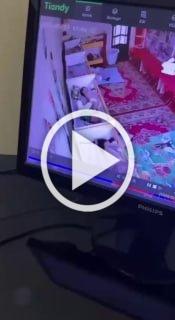 Жуткая гибель малыша в таджикском детсаду попала на видео...