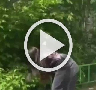 В Дзержинске школьницы избивают одноклассниц и снимают это на камеру.